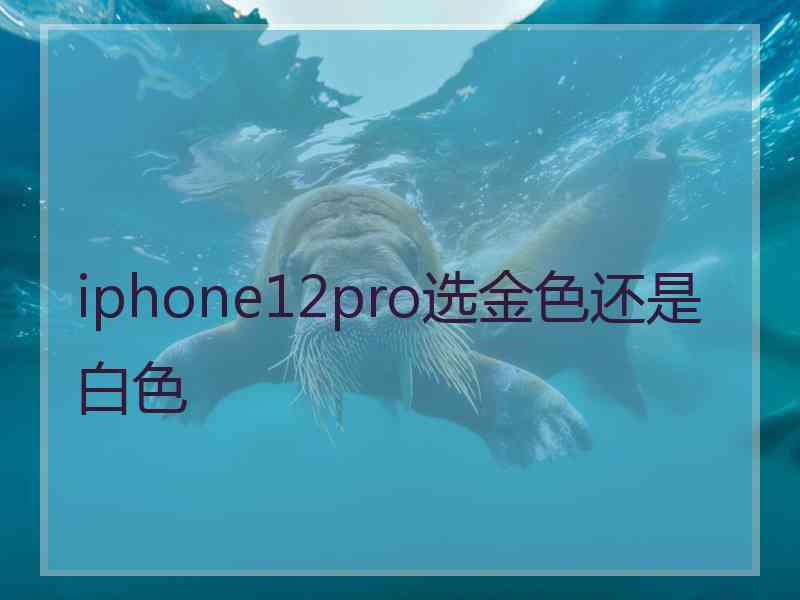 iphone12pro选金色还是白色