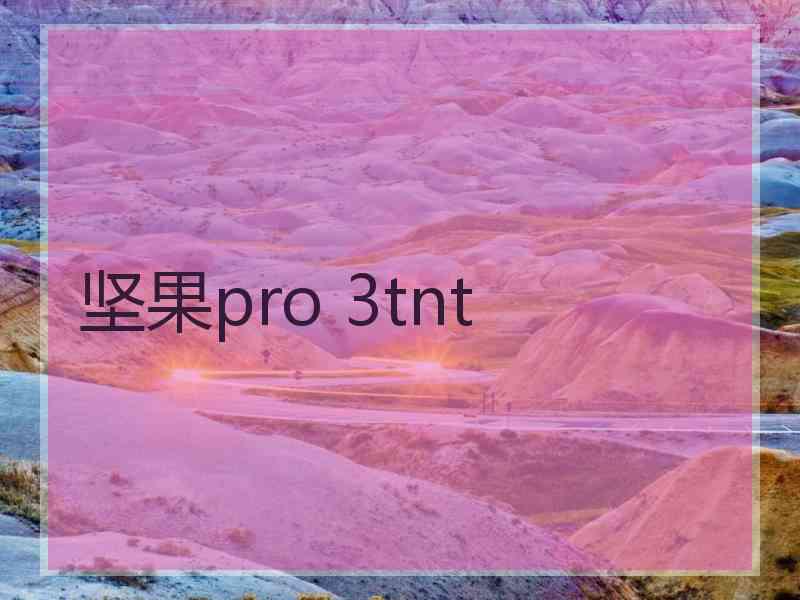 坚果pro 3tnt