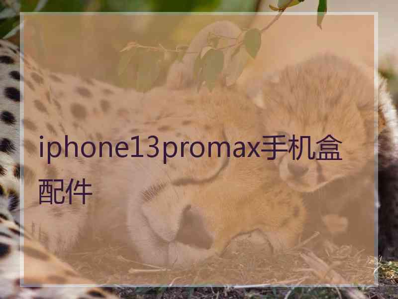 iphone13promax手机盒配件