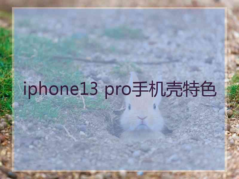 iphone13 pro手机壳特色