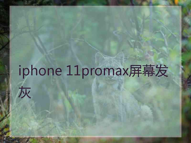 iphone 11promax屏幕发灰