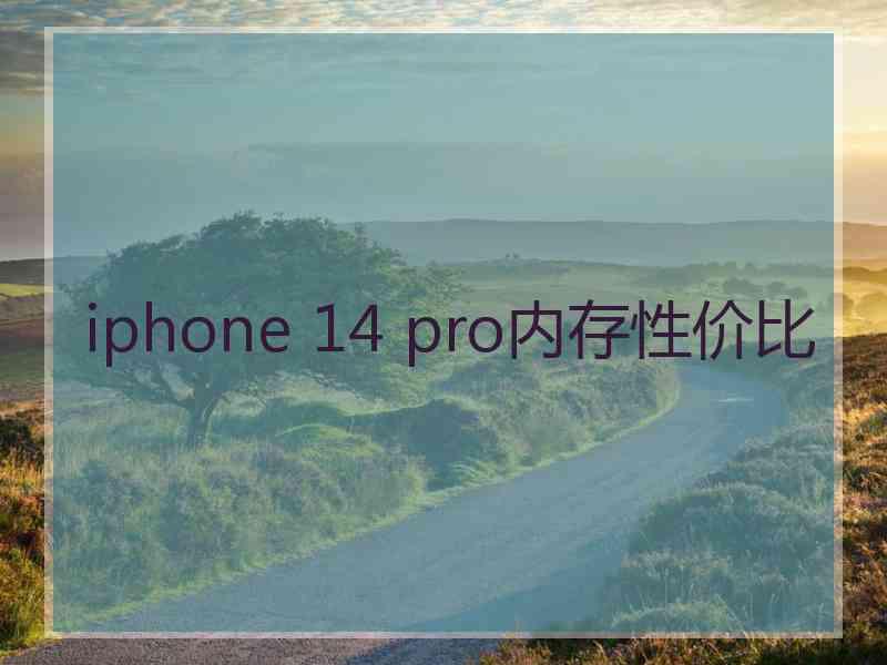 iphone 14 pro内存性价比