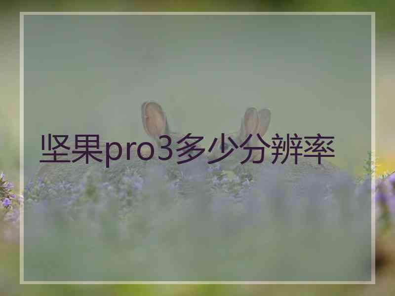 坚果pro3多少分辨率