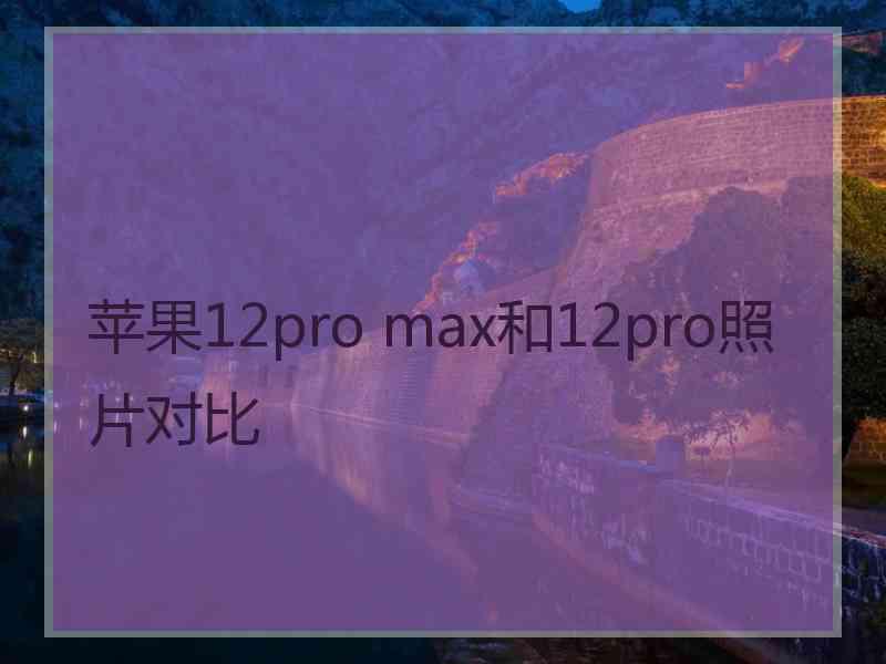 苹果12pro max和12pro照片对比