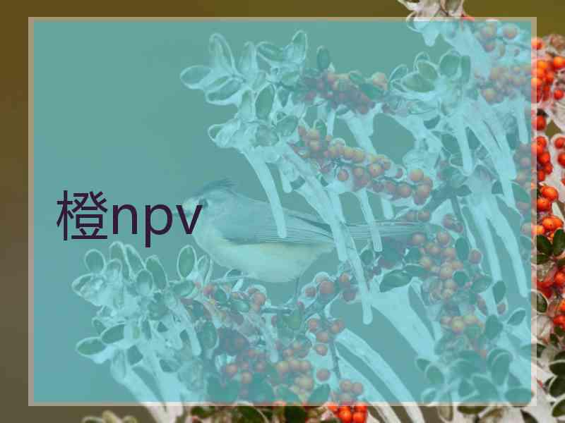 橙npv