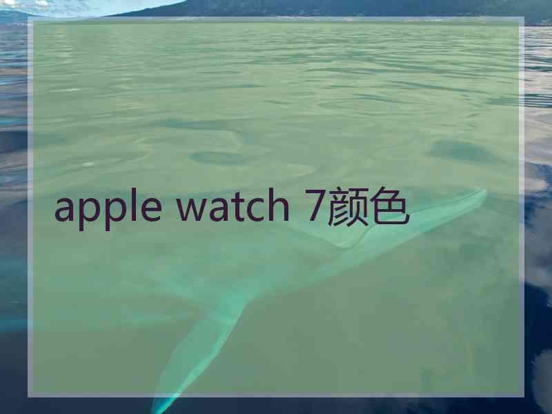 apple watch 7颜色