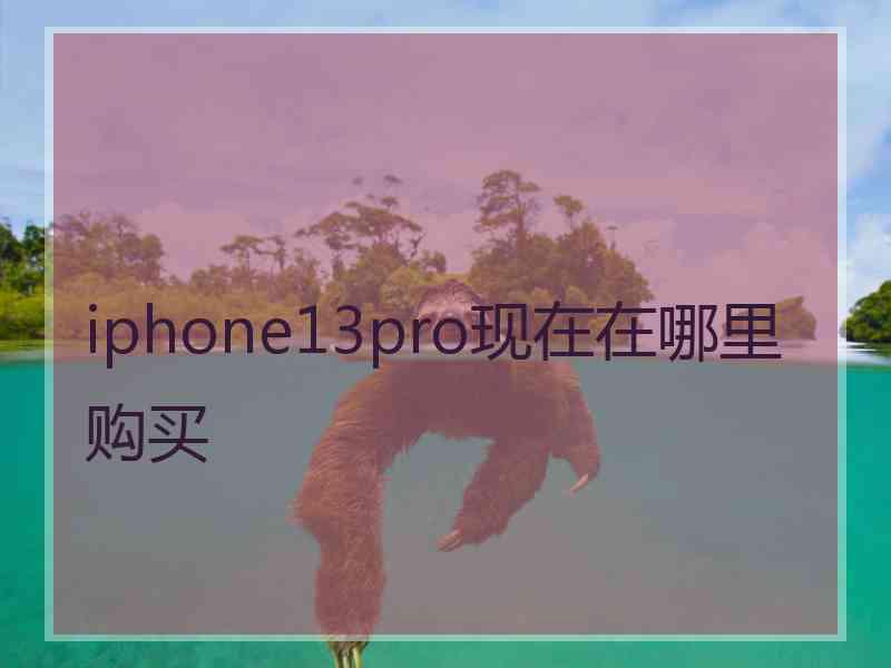 iphone13pro现在在哪里购买