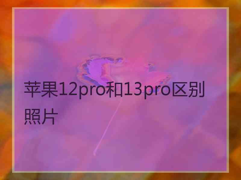 苹果12pro和13pro区别照片