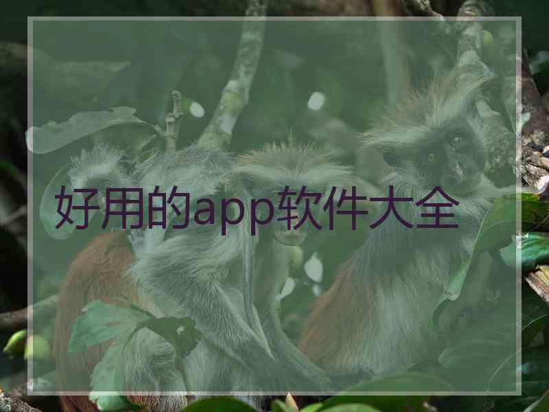 好用的app软件大全