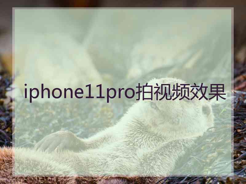 iphone11pro拍视频效果