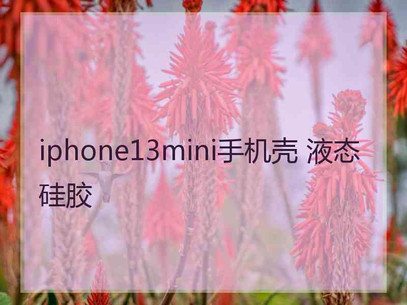 iphone13mini手机壳 液态硅胶