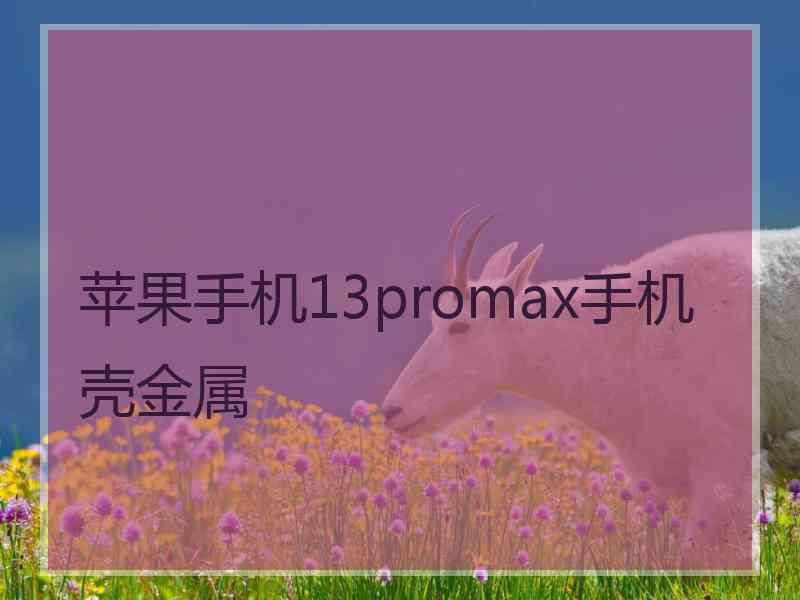 苹果手机13promax手机壳金属