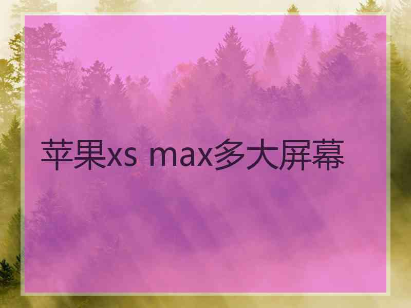 苹果xs max多大屏幕