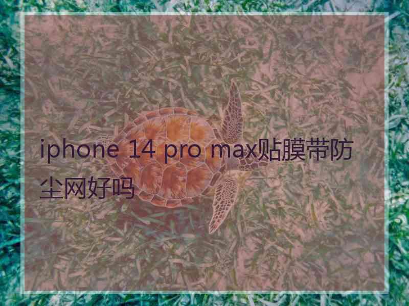 iphone 14 pro max贴膜带防尘网好吗