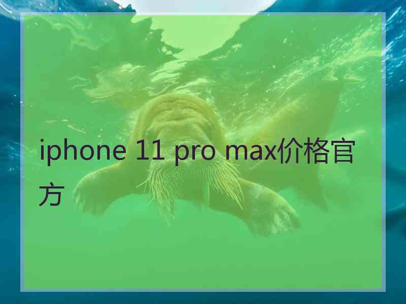 iphone 11 pro max价格官方