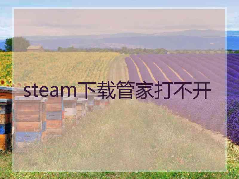 steam下载管家打不开