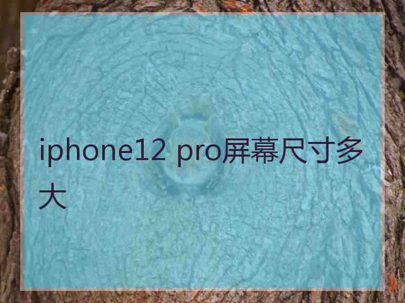 iphone12 pro屏幕尺寸多大