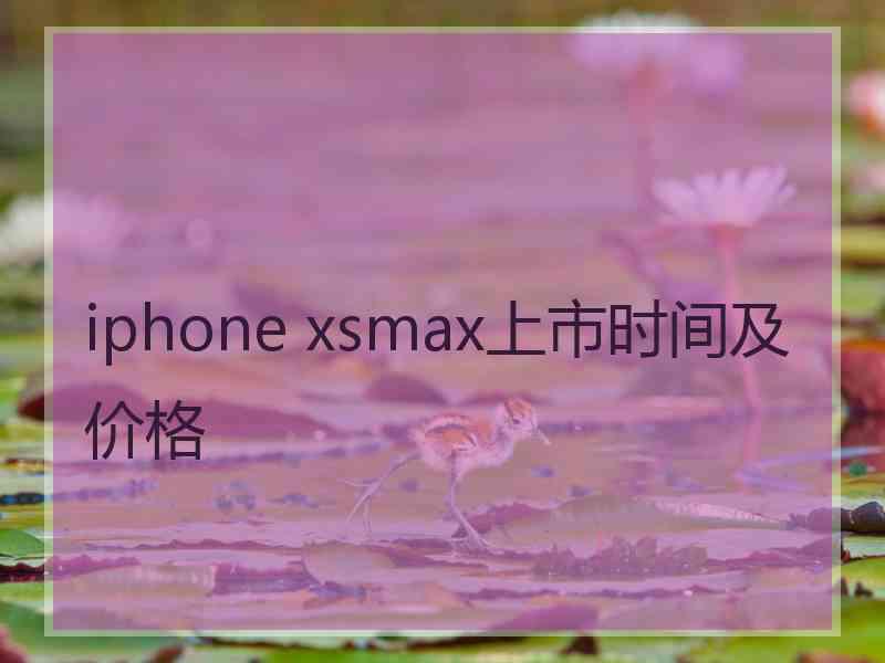 iphone xsmax上市时间及价格