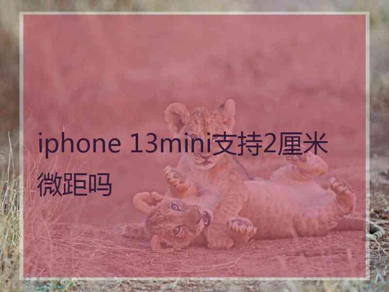 iphone 13mini支持2厘米微距吗