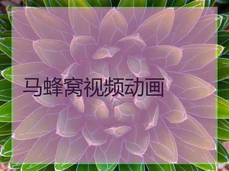 马蜂窝视频动画