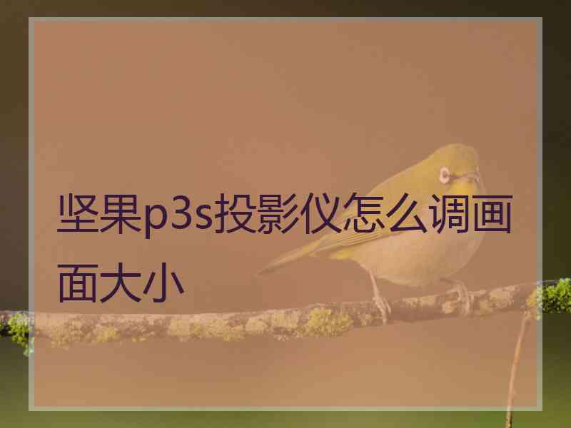 坚果p3s投影仪怎么调画面大小