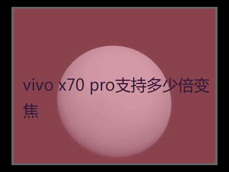 vivo x70 pro支持多少倍变焦