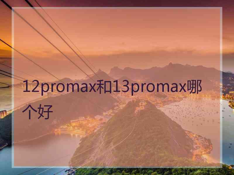 12promax和13promax哪个好