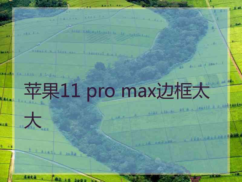 苹果11 pro max边框太大