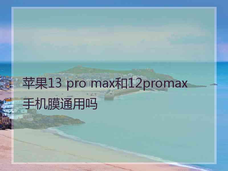 苹果13 pro max和12promax手机膜通用吗