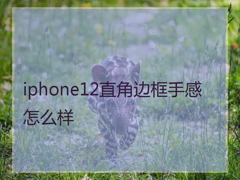 iphone12直角边框手感怎么样