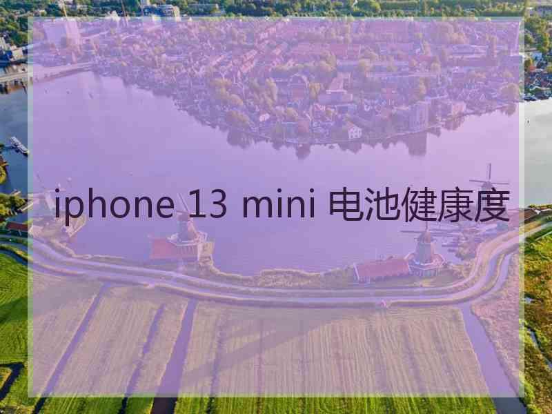 iphone 13 mini 电池健康度