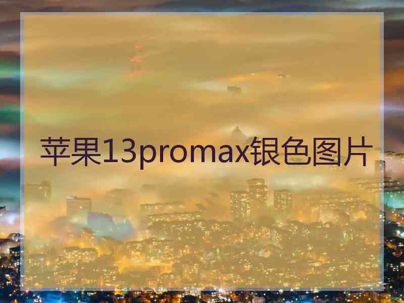 苹果13promax银色图片