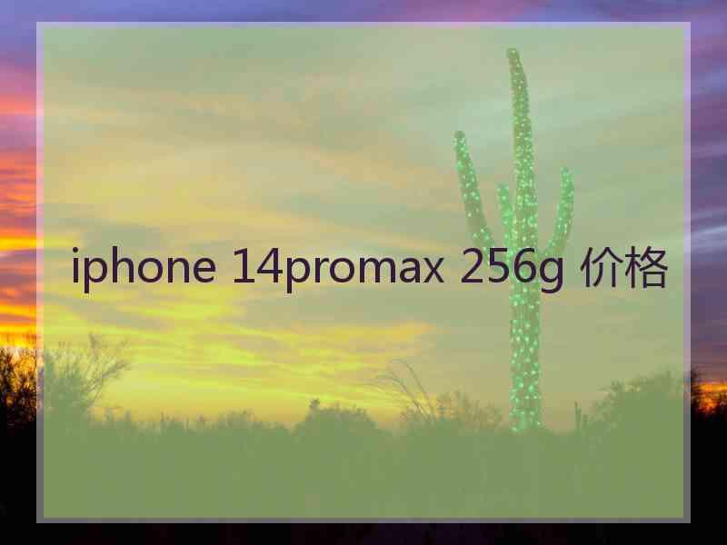 iphone 14promax 256g 价格