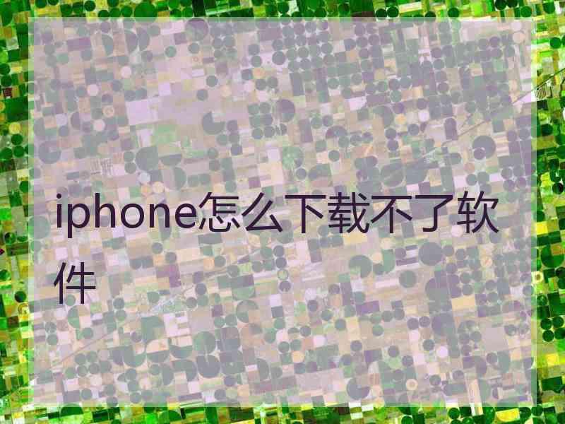 iphone怎么下载不了软件