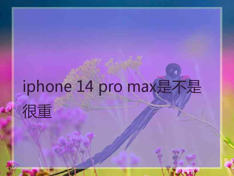 iphone 14 pro max是不是很重