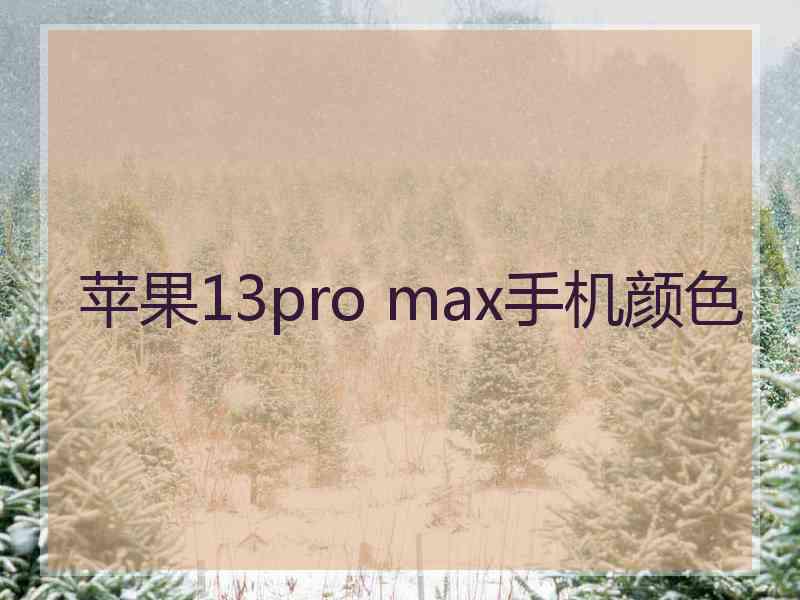 苹果13pro max手机颜色