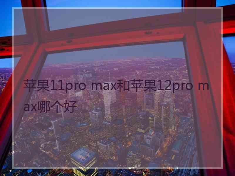 苹果11pro max和苹果12pro max哪个好