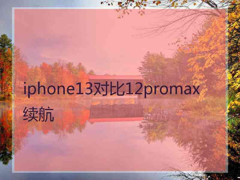 iphone13对比12promax 续航