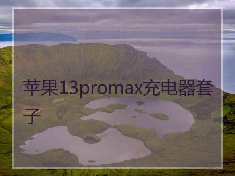 苹果13promax充电器套子