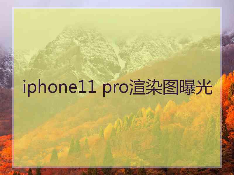 iphone11 pro渲染图曝光