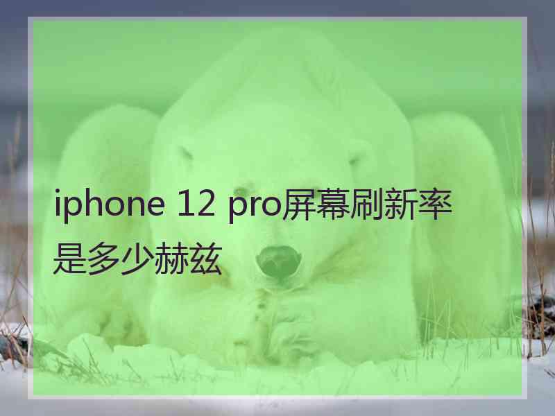 iphone 12 pro屏幕刷新率是多少赫兹