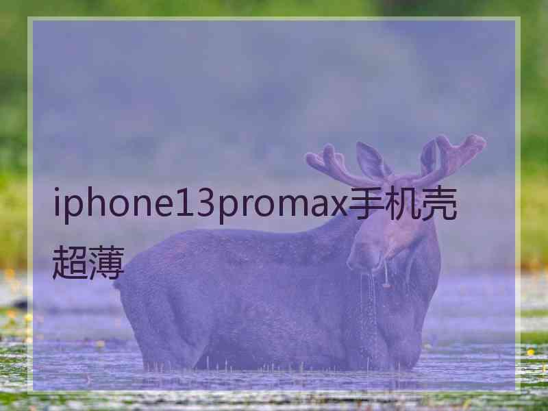 iphone13promax手机壳 超薄