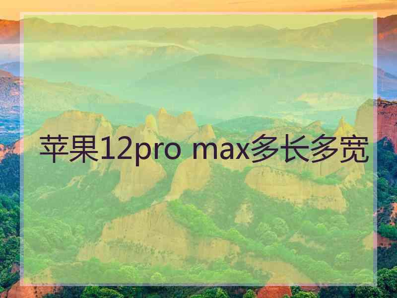 苹果12pro max多长多宽