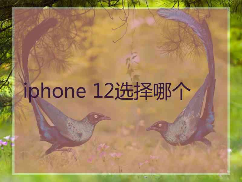 iphone 12选择哪个