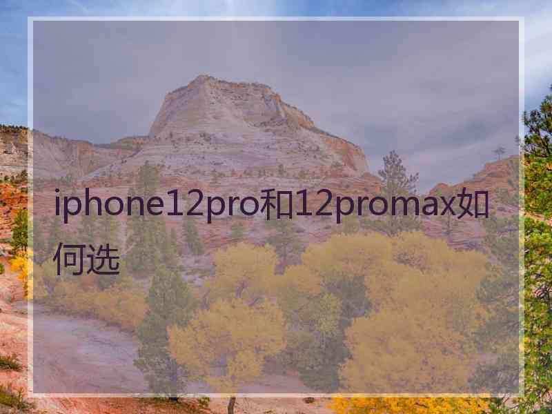 iphone12pro和12promax如何选