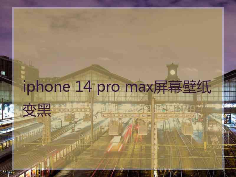 iphone 14 pro max屏幕壁纸变黑