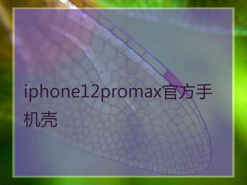 iphone12promax官方手机壳