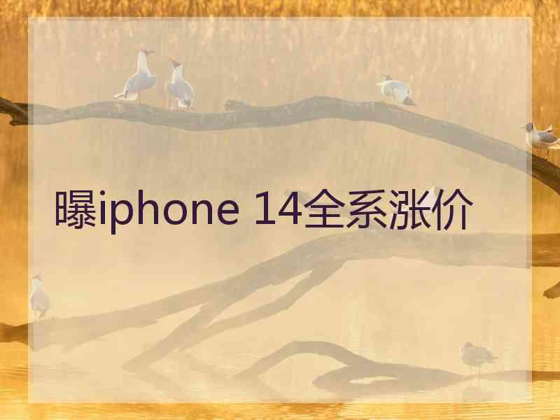 曝iphone 14全系涨价