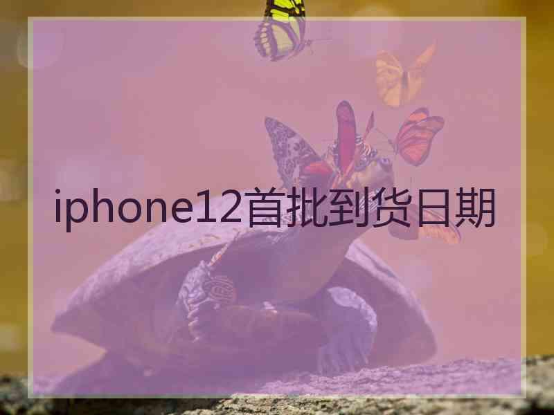 iphone12首批到货日期