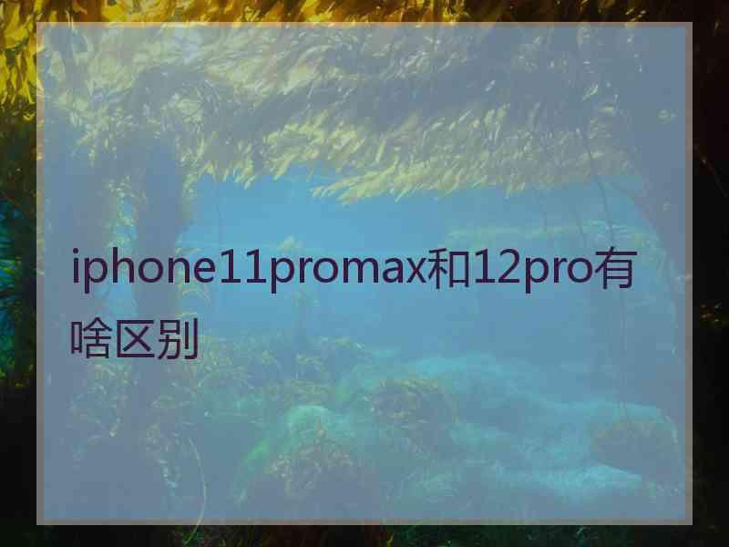 iphone11promax和12pro有啥区别